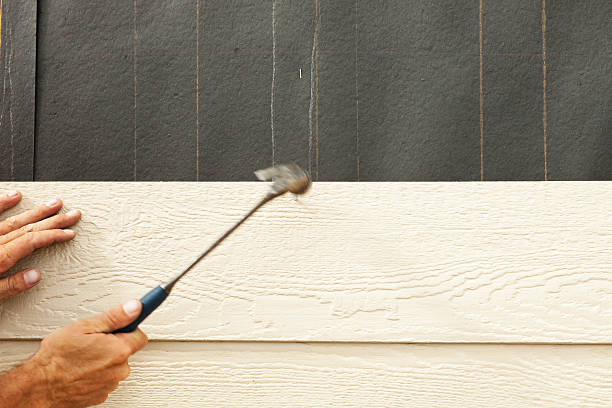 Best Historical Building Siding Restoration  in Penngrove, CA